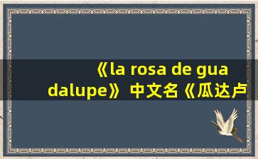 《la rosa de guadalupe》 中文名《瓜达卢佩的玫瑰》